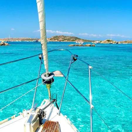 Amarestyle Igv Club Santaclara Palau